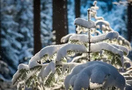 Dilatation des façades et rupteurs, comment ça marche ?